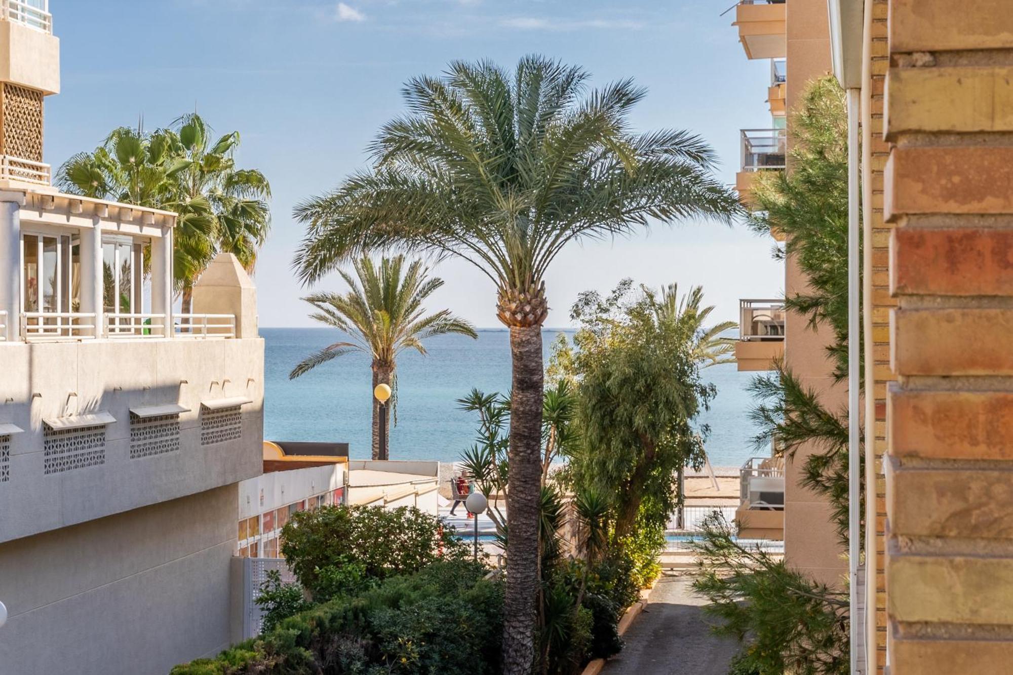 Appartement Albir Playa *